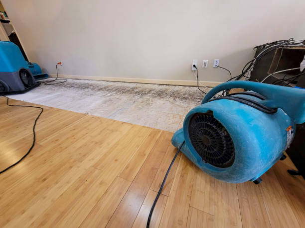 Professional Water Damage Repair technician working in Bladensburg, MD